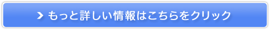 DŊ񂹏グiCguyӂ胋[uz̔TCg